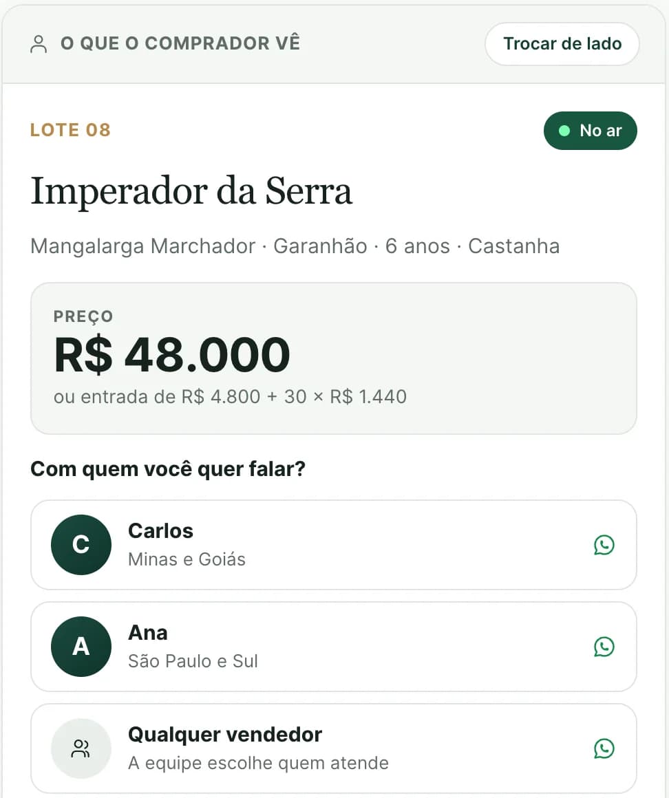 Depois de tocar em Tenho interesse: escolha entre os vendedores Carlos e Ana, ou qualquer vendedor.